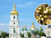 Погода в Україні