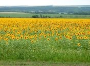 ЕБРР: Спешка в земельной реформе неуместна