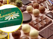 Иллюстративное фото