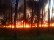 В Харьковской области горит лес