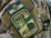 В Минобороны планируют развернуть дополнительный батальон ВСУ на Закарпатье 