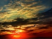 Погода на сегодня: дожди пройдут только на востоке и юге страны