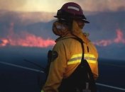 В Калифорнии в одном из районов пожарные локализовали лесной пожар