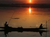 Отечественная рыба в Украине может подешеветь