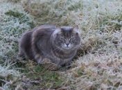 Серьезные заморозки: синоптик рассказала, каким будет первый день октября