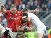 Лев укусил регбиста сборной Уэльса, когда тот попытался его погладить