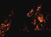 Лесные пожары: в Израиле экстремальная жара спровоцировала более 1,3 тыс очагов