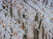 Какой праздник 18 декабря: народные приметы и запреты