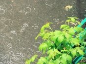 Прогноз погоды на 10 мая: воскресенье обещает быть дождливым