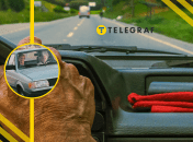 Пожилые люди за рулем