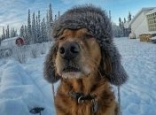 Прогноз погоды на 23 января: в Украине ударят сильные морозы