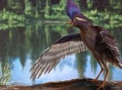 Ученые открыли для себя древнейшего предка птиц