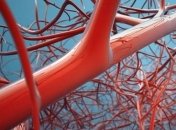 Лучшие народные способы чистки кровеносных сосудов