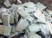 Житель Волновахского района накопил 20 кг марихуаны