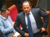 Тигипко: Выборы президента невозможны раньше декабря 