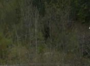 Google Earth заснял снежного человека (Видео)