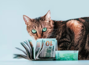 Тельцы, Весы и Скорпионы обогатятся