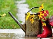 Прогноз погоды в Украине 30 августа: местами ожидаются дожди 