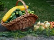 Сейчас предложение раннего лука значительно превосходит спрос на данную продукцию