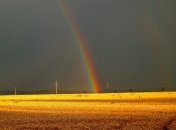 Грозы возвращаются в Украину: какой будет погода до конца недели