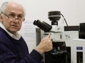 Клетки рака умеют думать