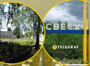 Под удар попал психоневрологический интернат в Свесе