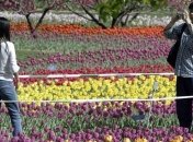 Пекинский Ботанический сад - самый крупный сад в Северном Китае