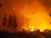 Масштабные пожары в Калифорнии: по меньшей мере пять человек погибли