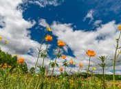 Погода в Украине