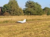 Російська Гербера у "Польщі"