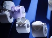 Власти Ирана запретили ввозить в страну туалетную бумагу