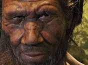 Ученые рассказали о пользе скрещивания с неандертальцами