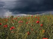 Грозовые дожди накроют всю Украину, местами град: погода на неделю, карта