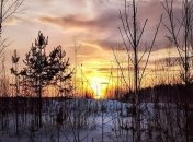 Погода в Украине 20 февраля: солнечно, местами пройдет дождь