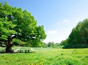 13 июня. Приметы дня