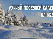 Лунный посевной календарь с 10 по 16 февраля 2020 года
