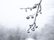 Прогноз погоды в Украине на сегодня: сухо на всей территории 