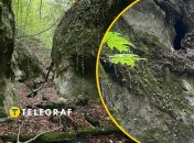 Там царит атмосфера нетронутой природы