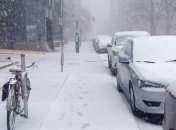 Чтобы заставить убрать снег в Житомире, заместителю мэра "засеяли" стол песком