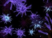 Они не только вызывают болезни: Вирусы могут вскоре ускорить работу компьютеров