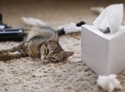 Правило "90/90" подойдет даже очень ленивым