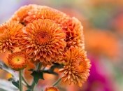 Прогноз погоды в Украине на 13 сентября: тепло и солнечно