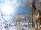 Антициклон Margarethe наведет порядок: синоптик рассказала, какой будет погода в конце рабочей недели