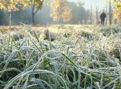 Заморозки еще вернутся в Украину