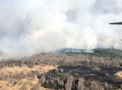У Чорнобильській зоні вже тиждень не можуть погасити пожежу