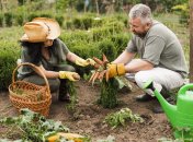 Сприятливі та несприятливі дні для городніх робіт