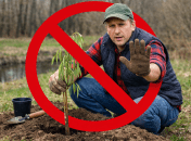 Человек сажает дерево