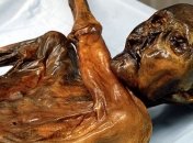 Ученые рассказали о происхождении "ледяного человека" Эци  