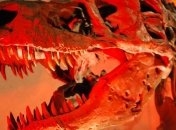 Динозавры видели мир в оттенках красного