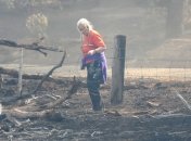 Пожары на юге Австралии уничтожили 11 тыс. гектаров леса